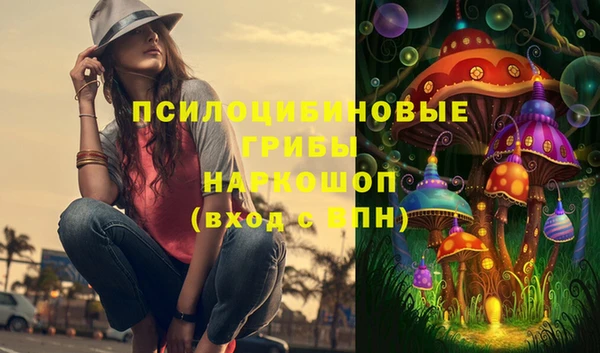соль ск Алзамай