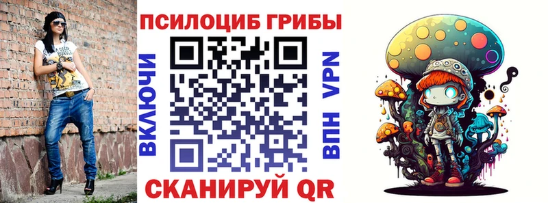 закладка  Большой Камень  Псилоцибиновые грибы GOLDEN TEACHER 